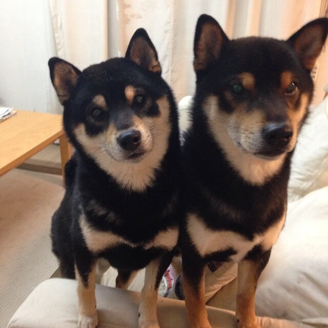 开云在线-《英雄联盟夏季赛，强者集结，群雄逐鹿》，lol夏季赛时间2021赛程