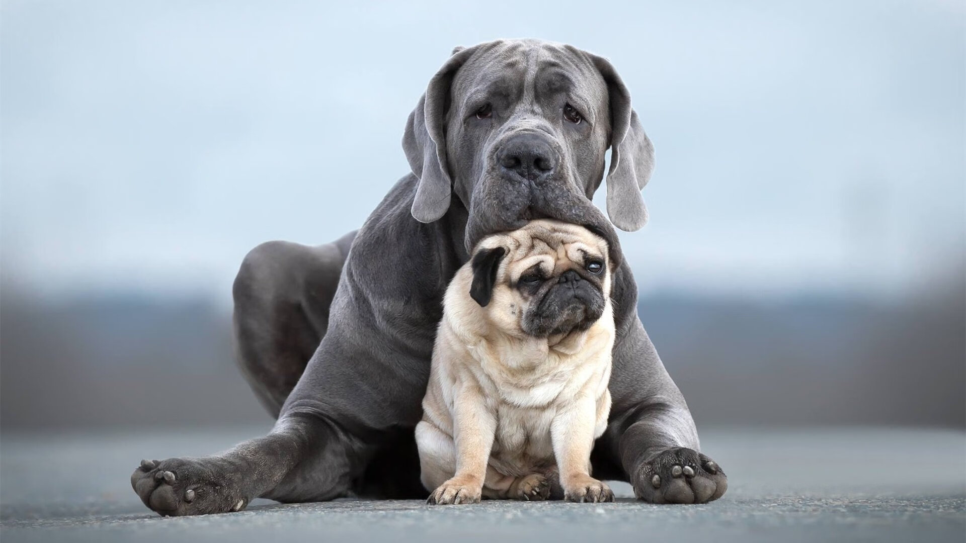 开云体育下载APP-足协加强财务监管，防范资金挪用，财政部门加强资金监管