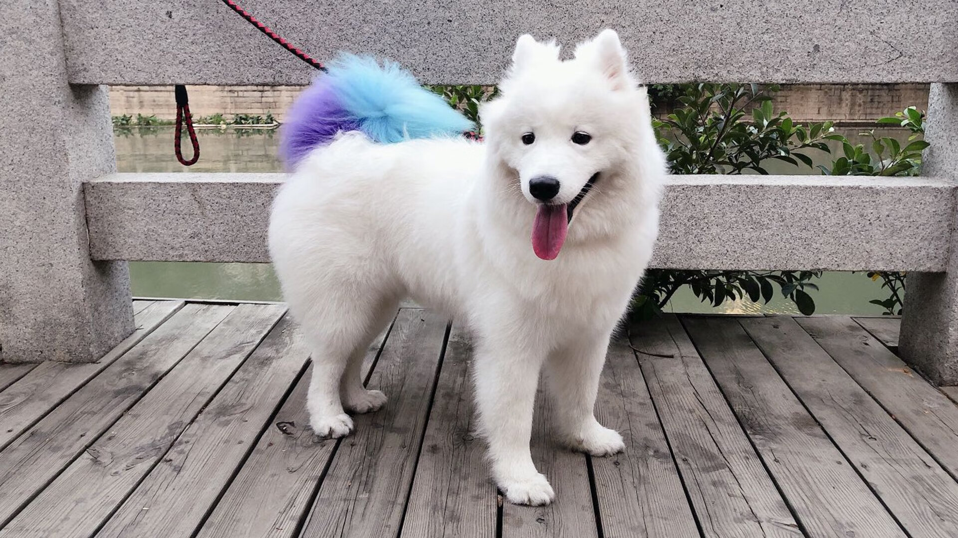 开云体育官方网站-力争上游!球队团结协作期待胜利之际,球队合作