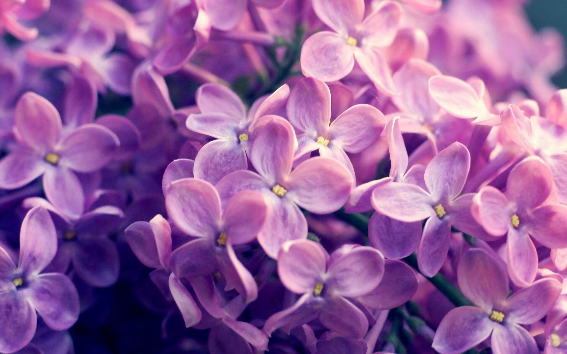 开云体育官方app-女足联赛技术含量逐年提高,女足水平下降