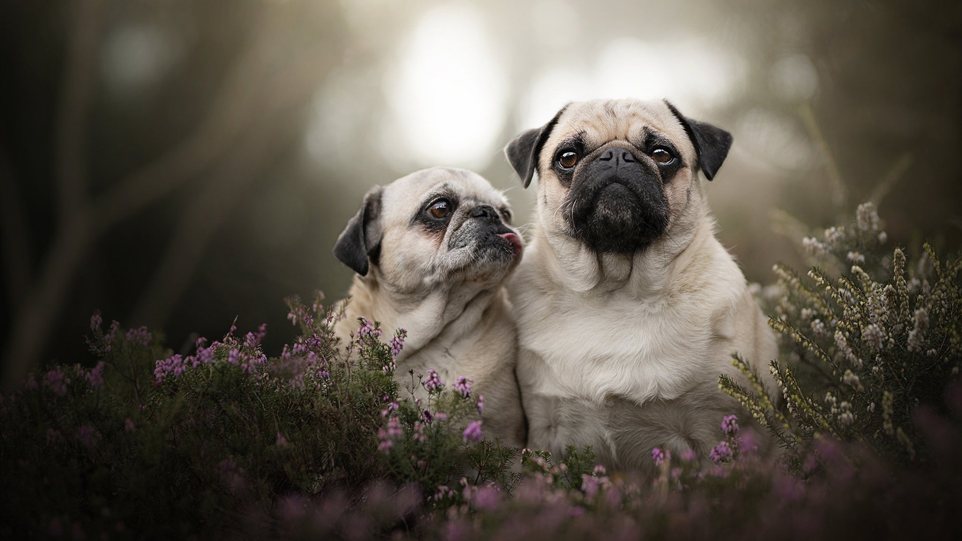 kaiyun-客场逆袭实力抢眼，成绩斐然引发热议，客场惨败