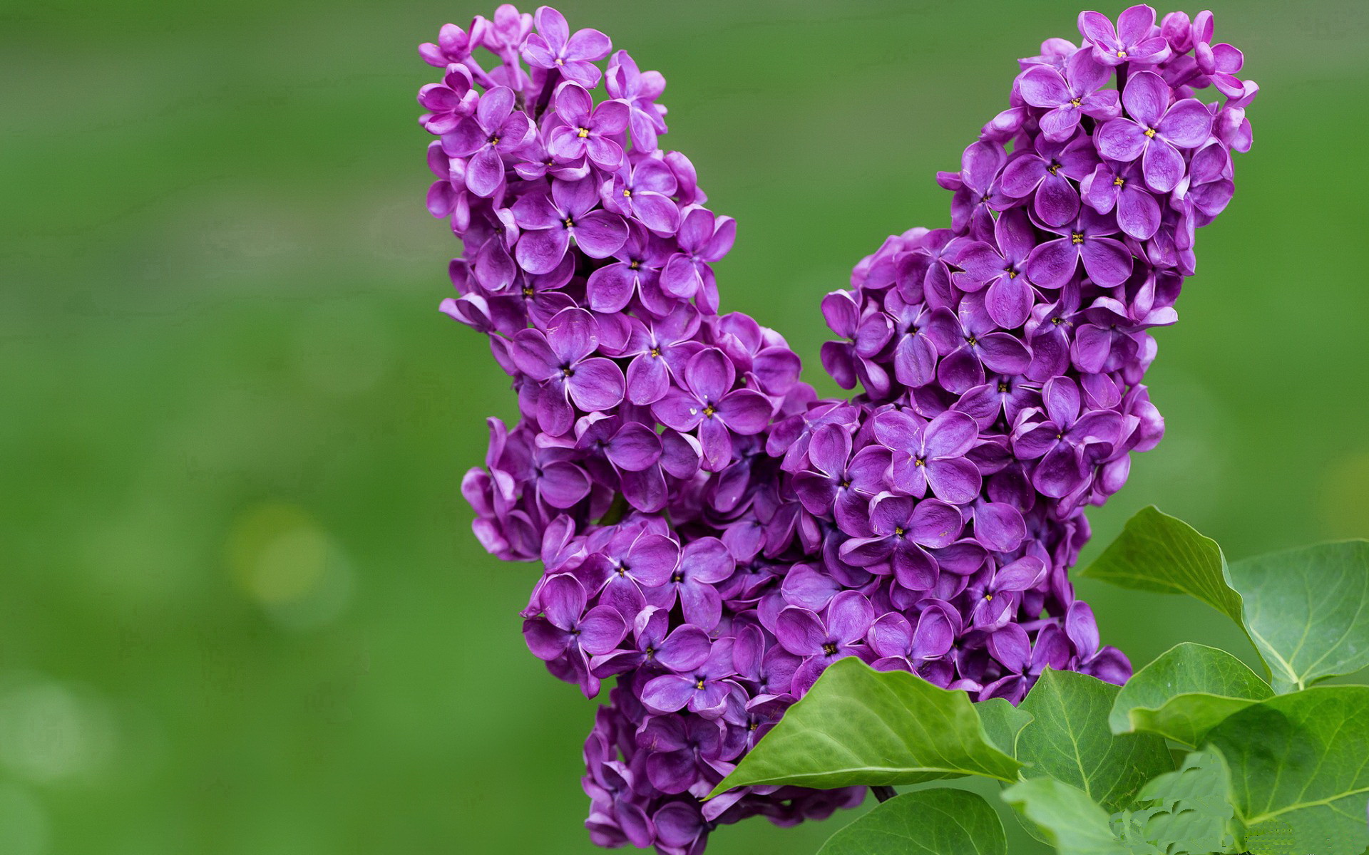 开云体育下载-拜仁慕尼黑主帅力促球队突破困局,取得更好成绩,拜仁慕尼黑主帅是谁