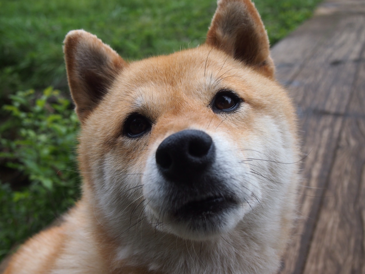 开云体育娱乐app安全-世界杯影响:五大联赛的变化与机遇,世界杯的参赛队伍