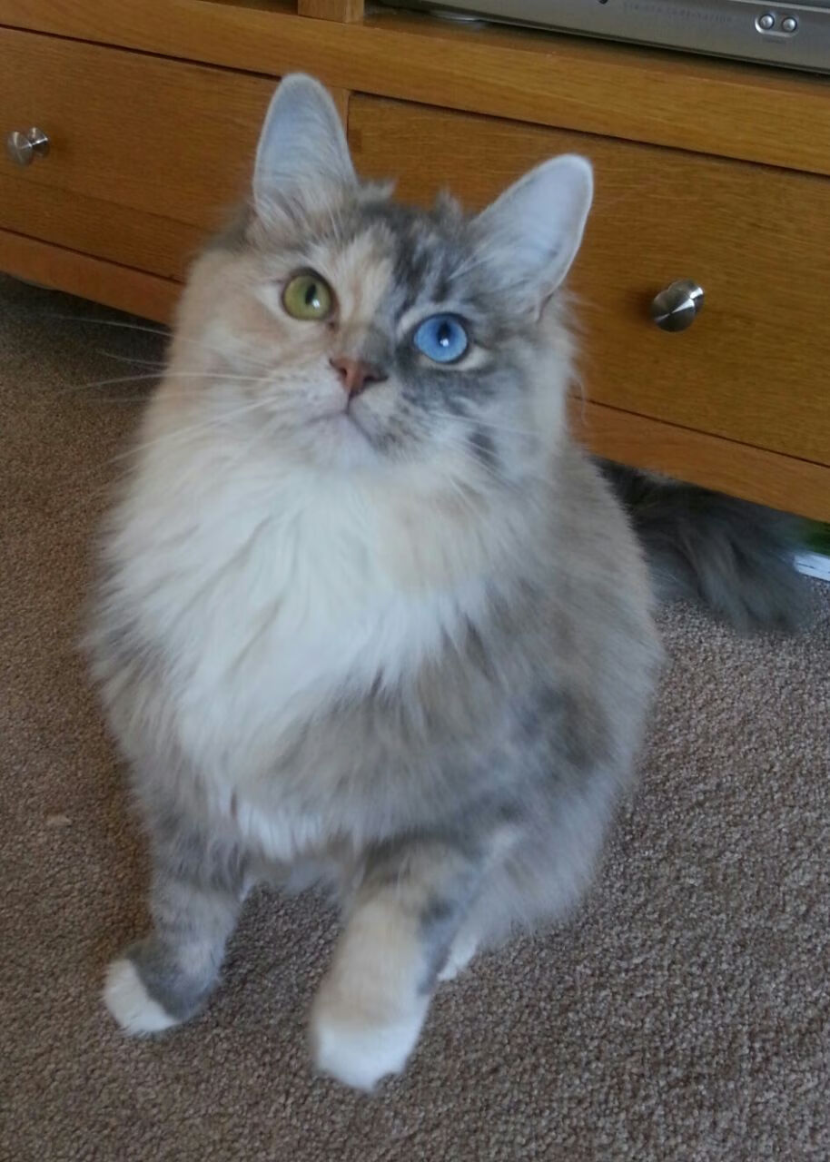 开云体育安全平台-中小学课后体育托管服务创新模式研究,中小学生课后托管问题