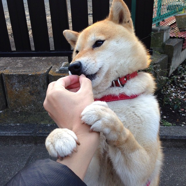 开云体育官方app-英超密集赛程下球员疲劳监测与恢复策略探索,英超球员休息时间