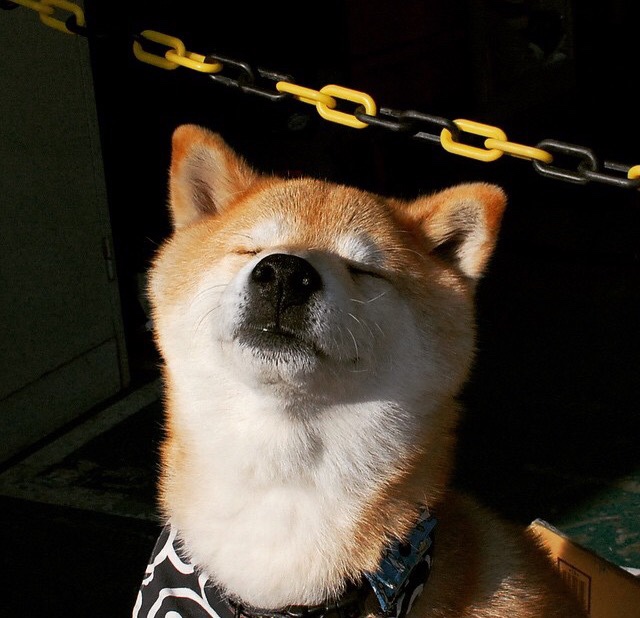 开云APP-英超球队赛季中期运动负荷监控与训练调整策略,英超球员体能