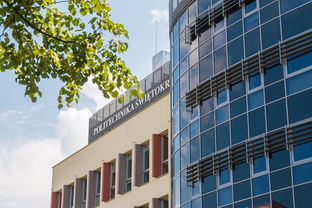 开云体育官网-高校体育赛事风险预警体系建设与管理实践,体育赛事风险及防范措施