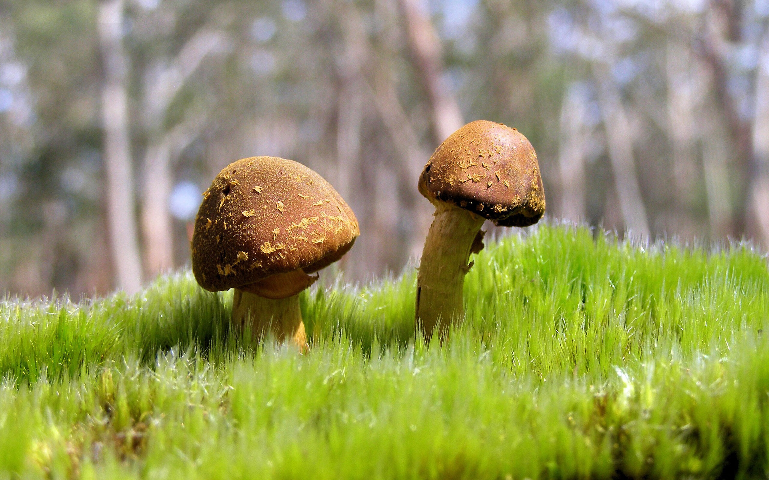 开云体育下载APP-体育新闻中心推动多场景AI体育应用落地,安装体育新闻